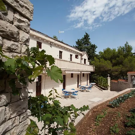 White House In The Forest Pucisca Exterior photo